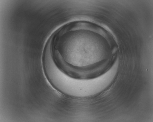 X0000070160943200605261126