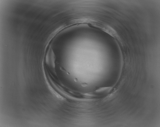 X0000070160946200605261126