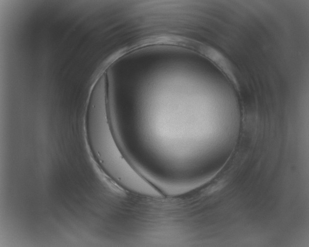 X0000070160954200605261126