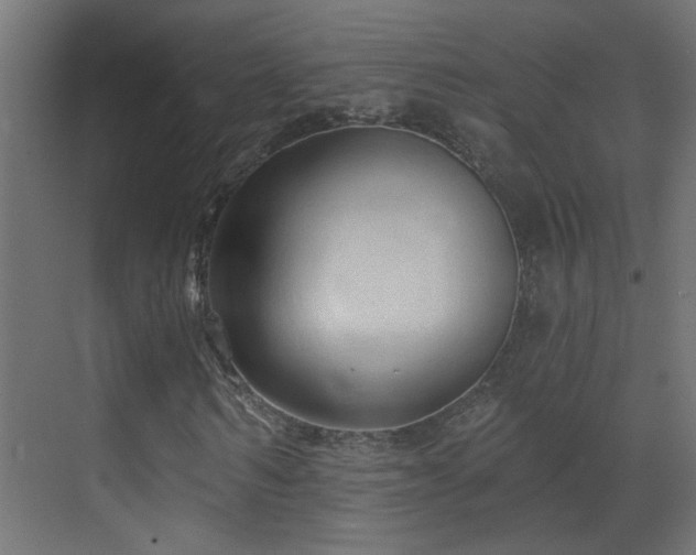 X0000070160962200605261126