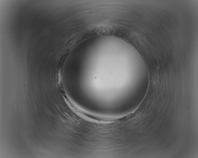 X0000070160964200605261126