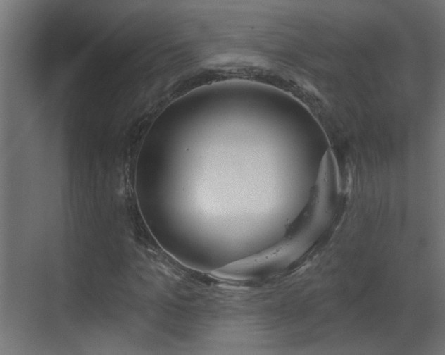 X0000070160965200605261126