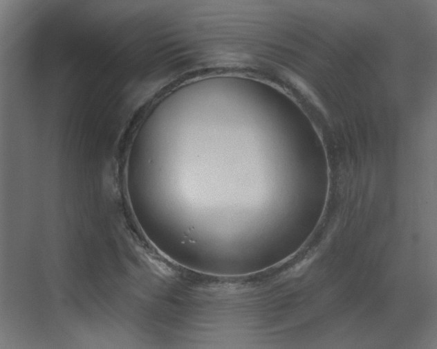 X0000070160970200605261125