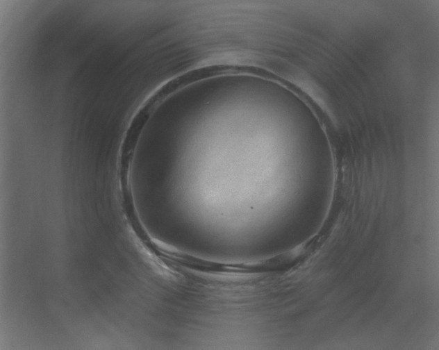 X0000070160972200605261125