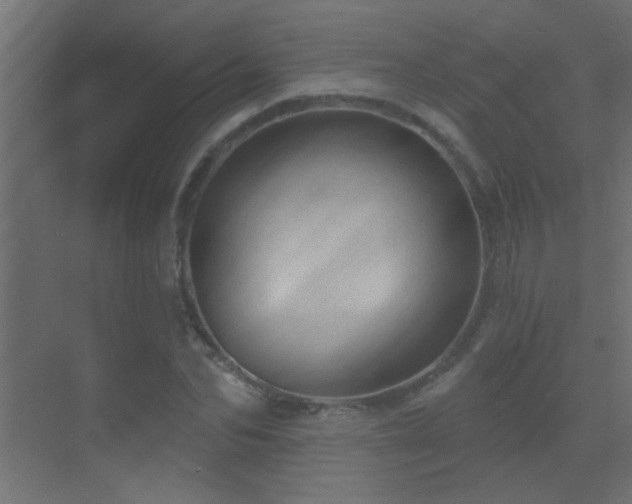X0000070160974200605261125