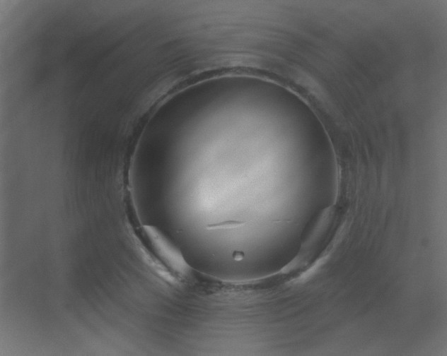 X0000070160977200605261125