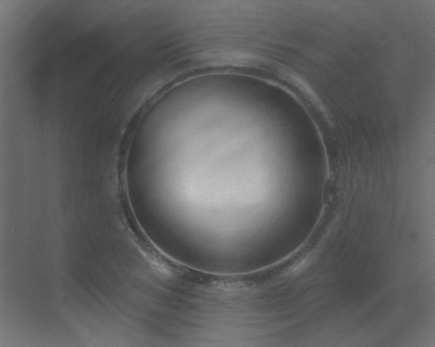 X0000070160978200605261125