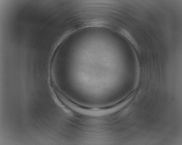 X0000070160994200605261125