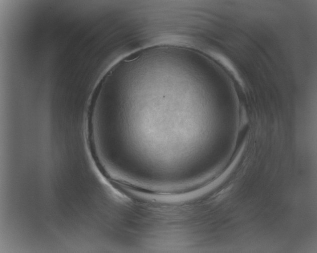 X0000070160999200605261125