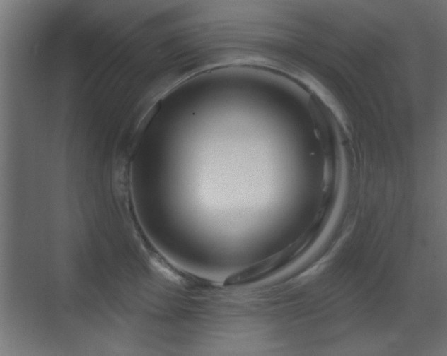 X0000070161001200605261125