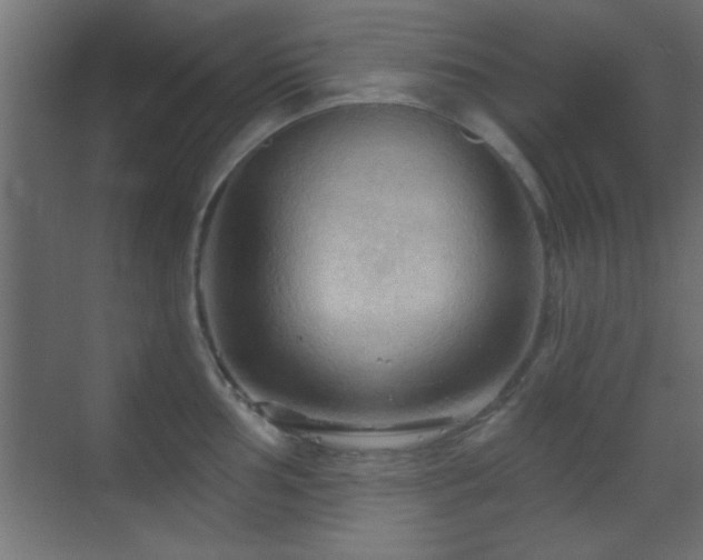 X0000070161002200605261125