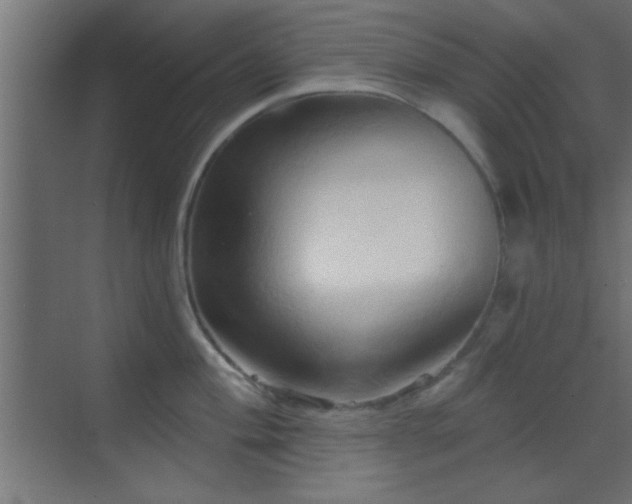 X0000070161004200605261125
