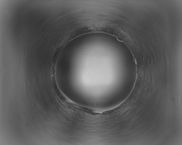 X0000070161012200605261124