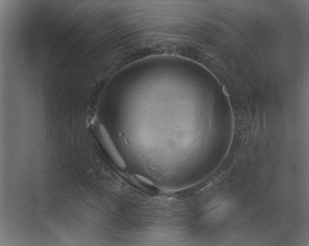 X0000070161013200605261124