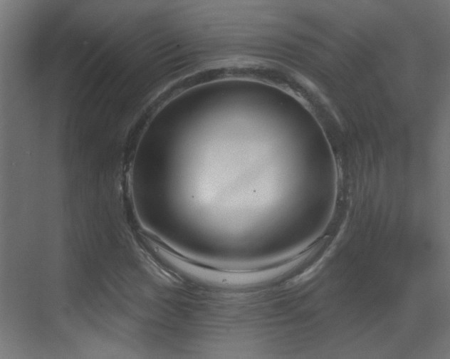 X0000070161017200605261124