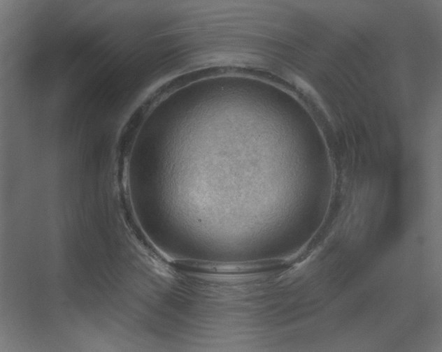 X0000070161019200605261124