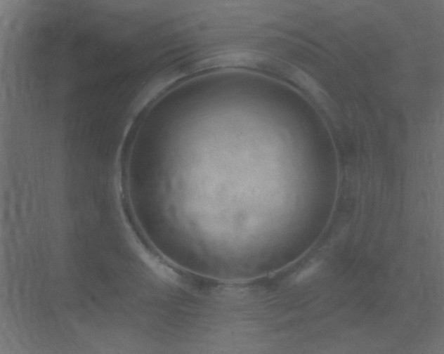 X0000070161034200605261124