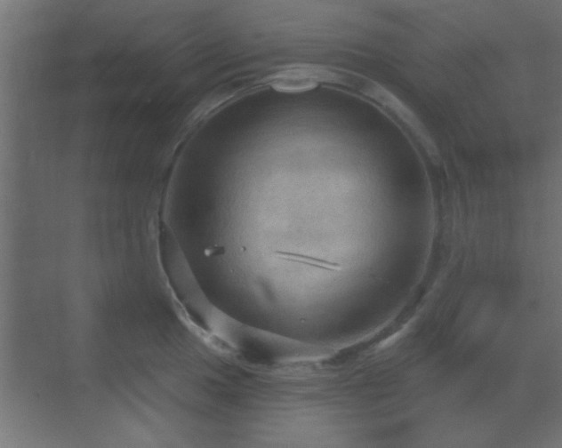 X0000070161049200605261125