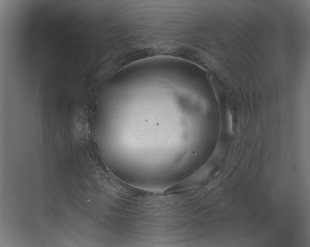 X0000070161058200605261124