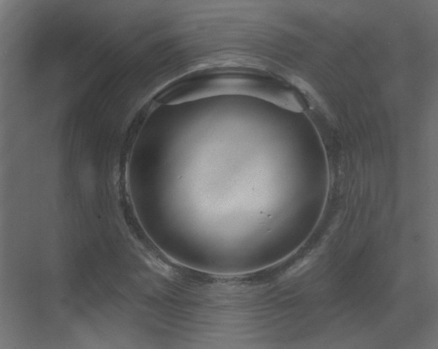 X0000070161065200605261124
