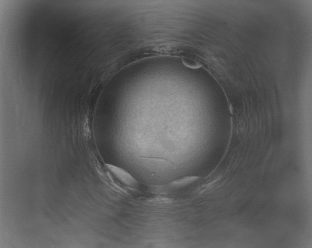 X0000070161106200605261122