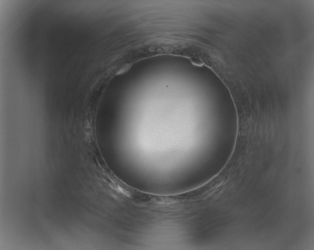 X0000070161109200605261122