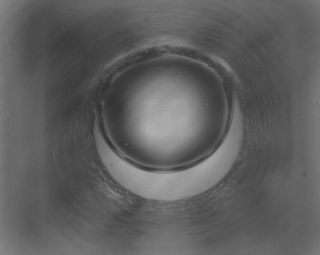 X0000070161112200605261123