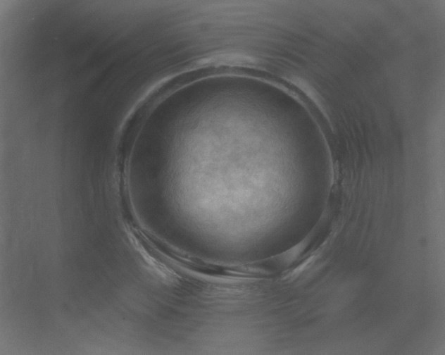 X0000070161115200605261123