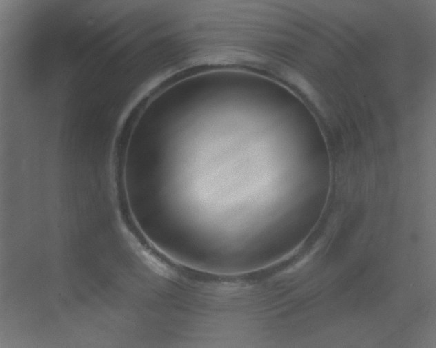 X0000070161122200605261123