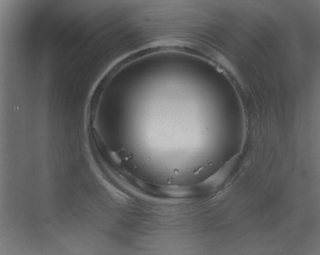 X0000070161124200605261123