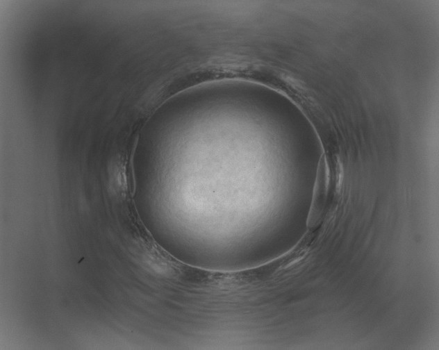 X0000070161155200605261122