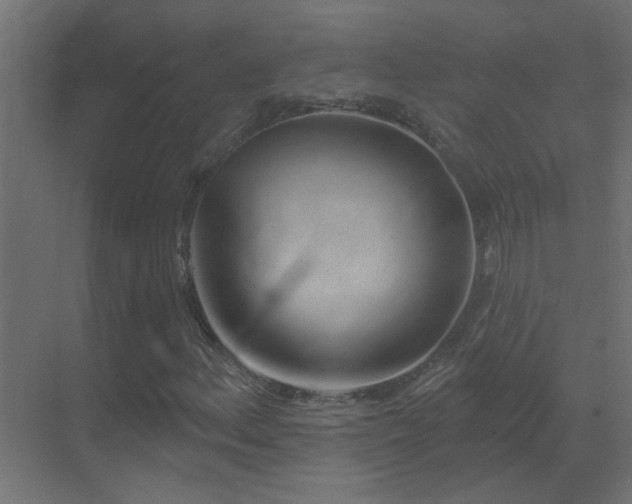 X0000070161156200605261122