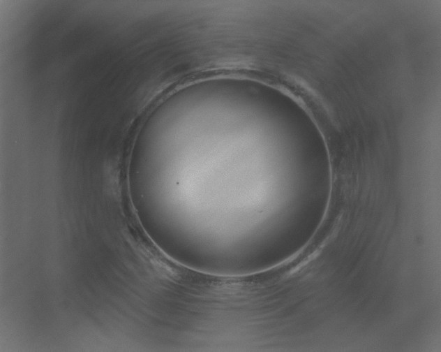 X0000070161162200605261122