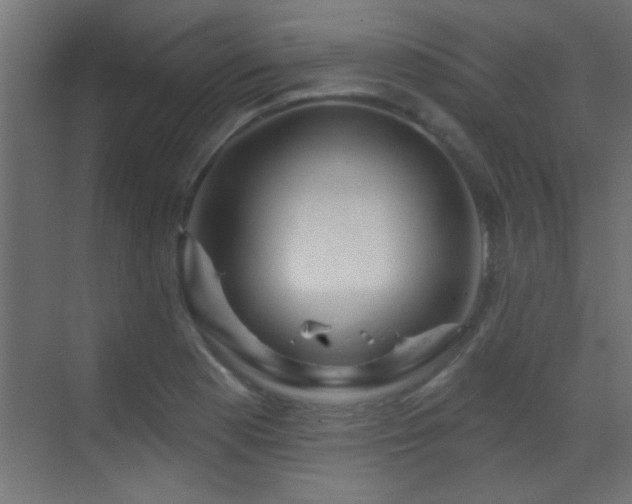 X0000070161177200605261122