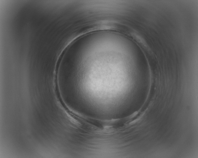 X0000070161178200605261122