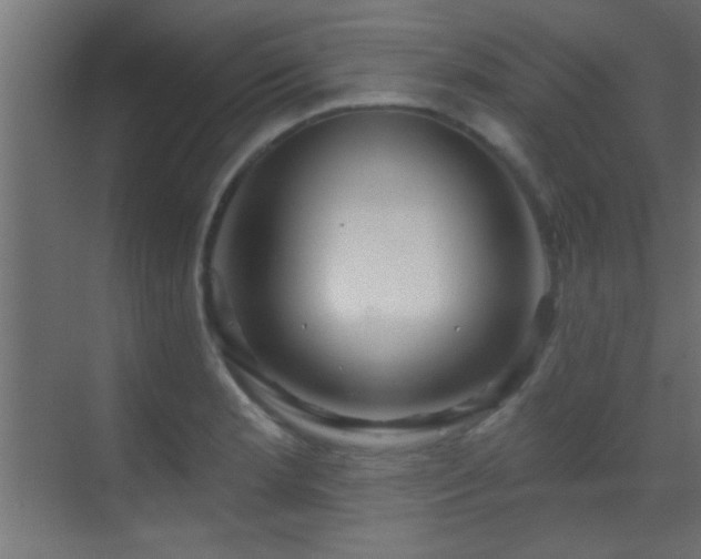 X0000070161181200605261122