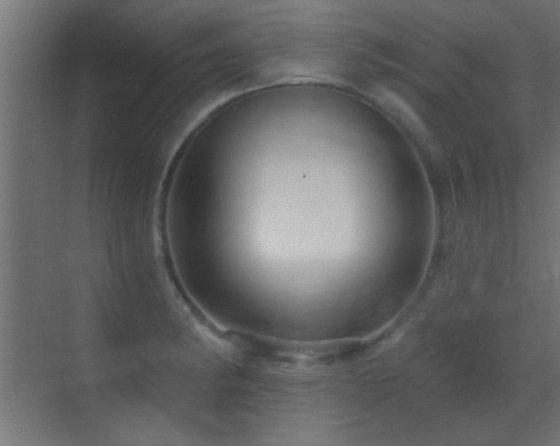 X0000070161182200605261122