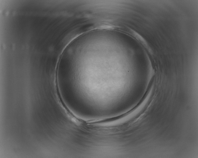 X0000070161194200605261122