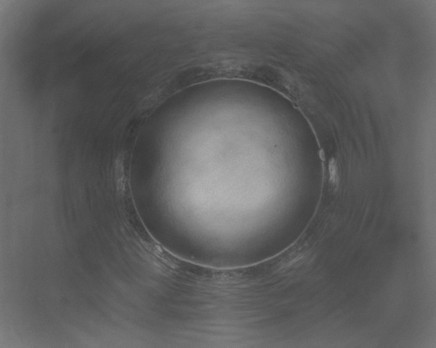 X0000070161203200605261121