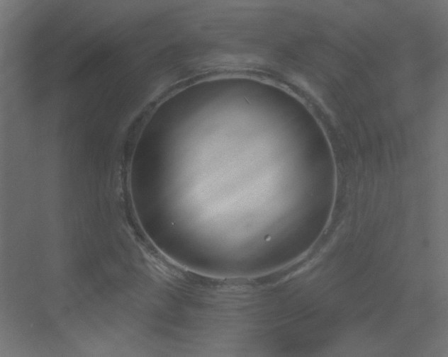 X0000070161211200605261121