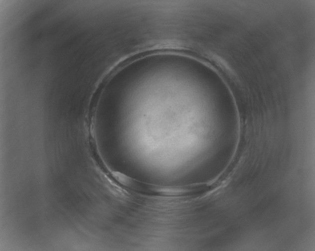 X0000070161212200605261121