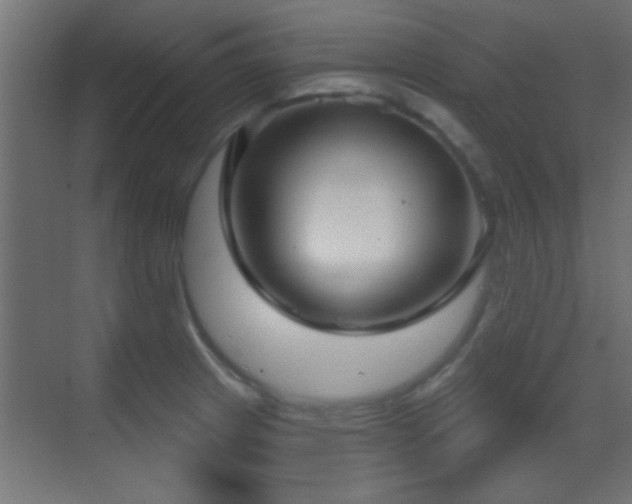 X0000070161233200605261121