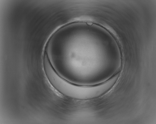 X0000070161248200605261122