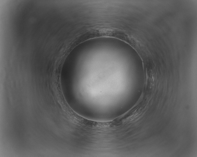 X0000070161249200605261121