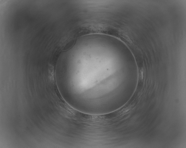X0000070161251200605261121