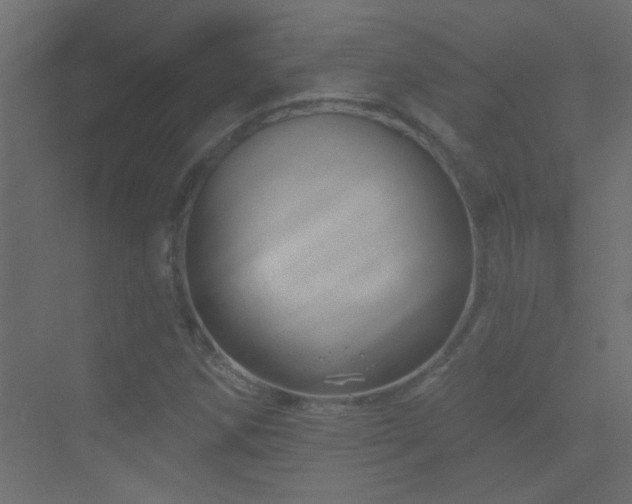 X0000070161258200605261121