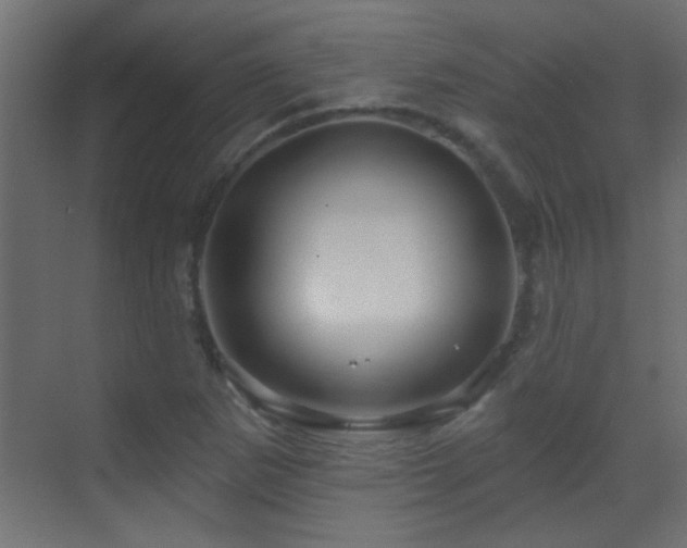 X0000070161265200605261121