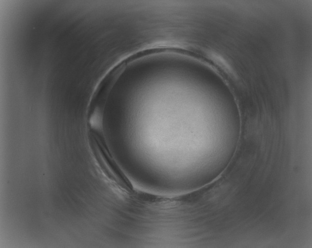 X0000070161268200605261120