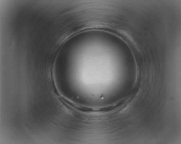 X0000070161273200605261120