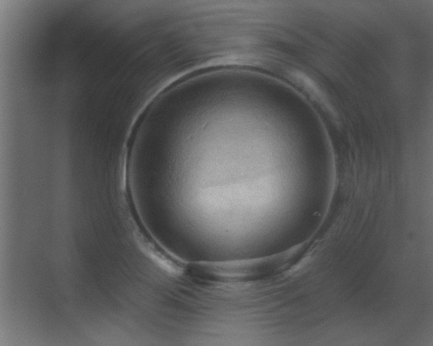 X0000070161276200605261120